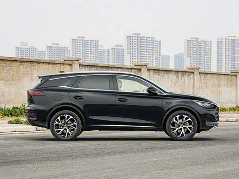 2025�� �Ǽݰ� DM-i 115KM ������