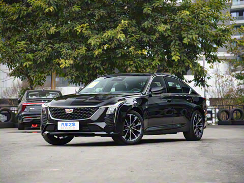 2025�� 28T �����˶���