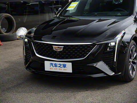 2025�� 28T �����˶���