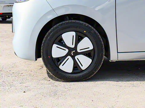 2025�� ���Ű� ���׿�