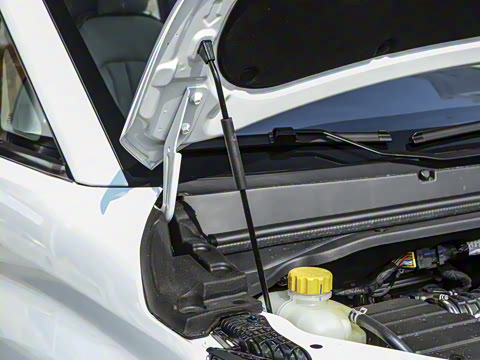 2025�� 1.6L �ֶ���������� 7��