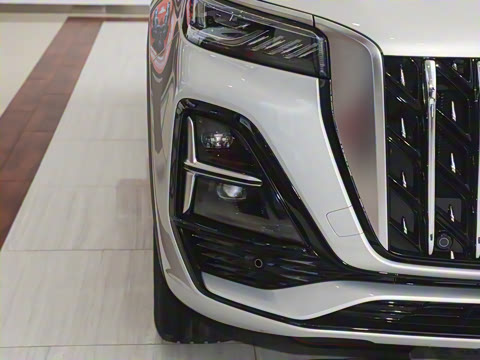 2025�� 2.0T ��������Pro��