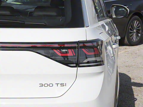 2025�� 300TSI DSG���������