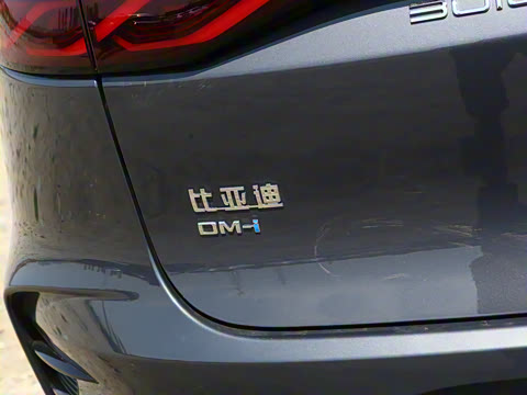 2025�� �Ǽݰ� DM-i 115KM �콢��