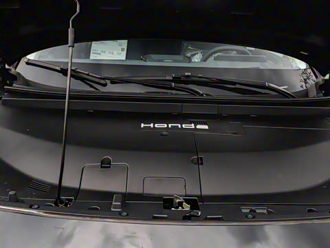 2025�� ����������Pro