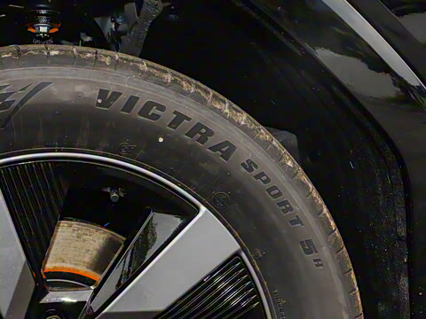 2025�� ����������Pro