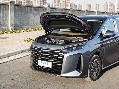 2025�� DM-i 1.5T 180km ��Խ��