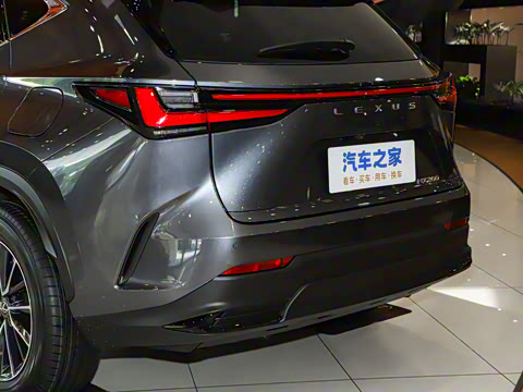 2025�� 260 ǰ�� �ر��