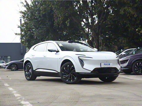 2024�� Max���������