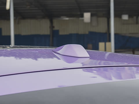 2025�� ����������Max