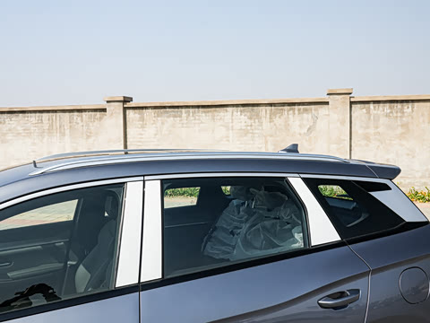 2025�� �ڶ��� �Ǽݰ� DM-i 115KM��Խ��