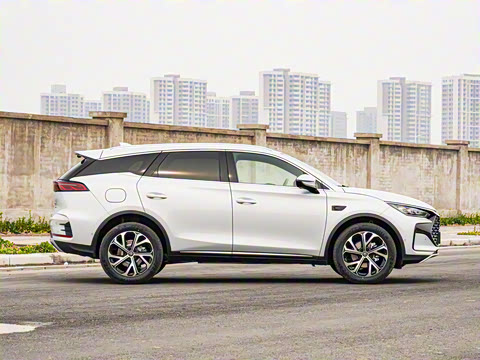 2025�� �Ǽݰ� DM-i 115KM ������