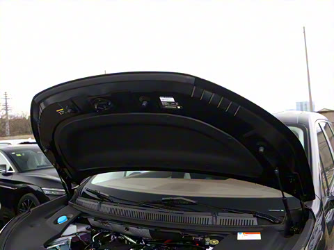 2025�� DM-i 1.5T 100km ������