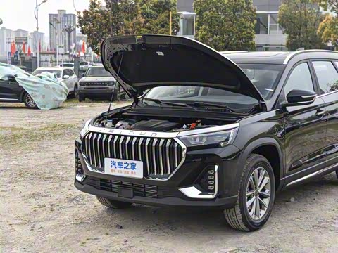 2025�� 1.6TD �ֶ����ʰ� 5��