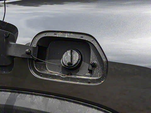 2024�� ����������