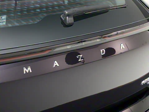 2025�� ����600 Max