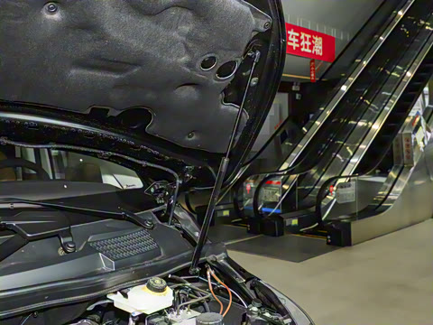 2025�� �������������