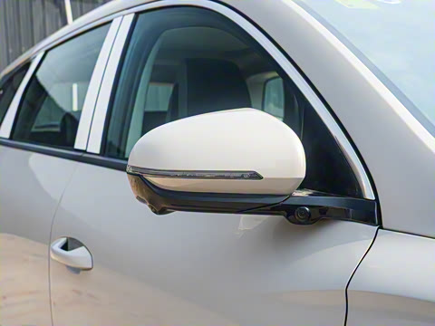 2025�� DM-i �Ǽݰ� 115KM������