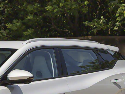 2025�� 205��������������