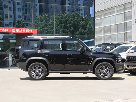 2025�� 2.0TD DCT XWD����