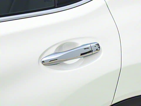 2025�� ���� 2.0L �������Ȱ�