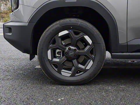 2025�� 2.0TD XWD����