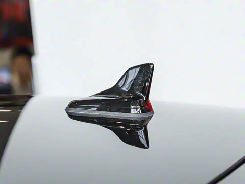 2024�� RS 5 2.9T Sportback ȼ���