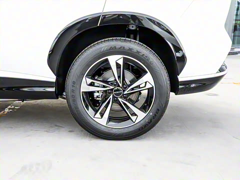 2024�� 135������