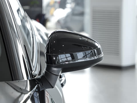 2024�� RS 5 2.9T Sportback ȼ���