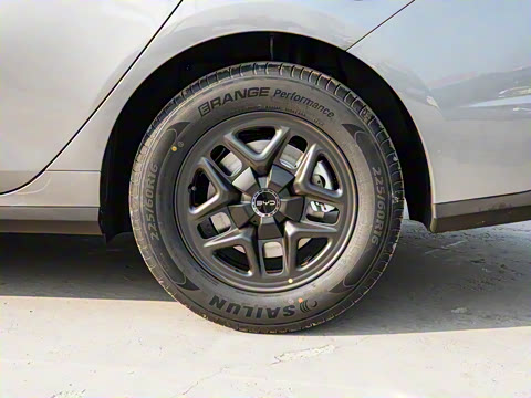 2025�� DM-i �Ǽݰ� 55KM������