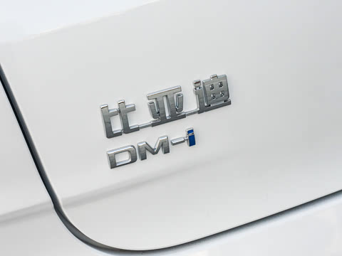 2025�� DM-i �Ǽݰ� 120KM������