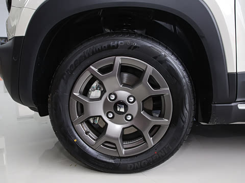 2025�� ����� 5��