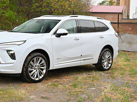 2025�� ������Plus ����Avenir��ά��