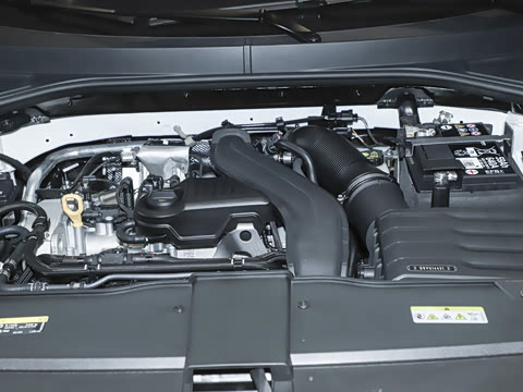 2025�� �Ŀ�� 300TSI DSG�����ǹ��