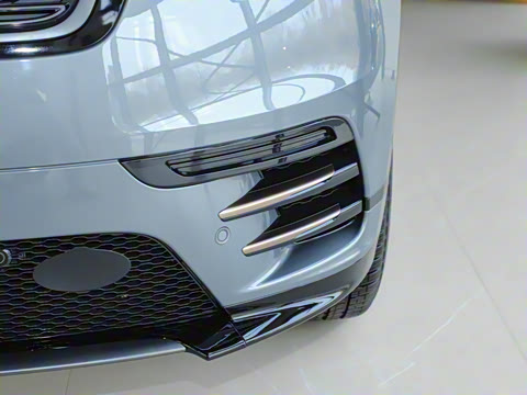 2025�� Dynamic SE