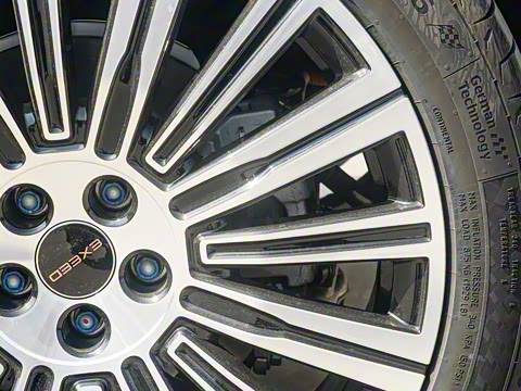 2025�� 180 ��������Max���� 7��