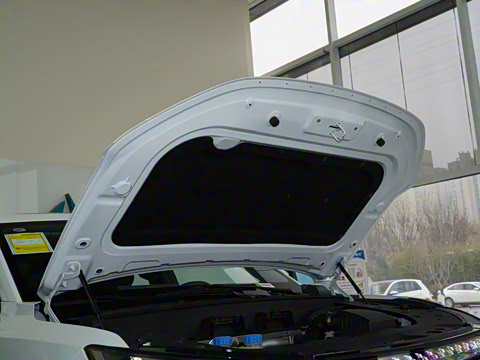 2025�� 210Max���Ȱ� 6��