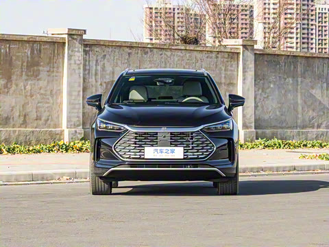 2025�� �Ǽݰ� DM-i 115KM �콢��