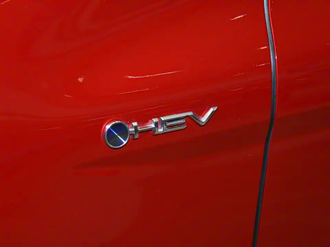 2024�� ˫�� 2.0HS �˶���