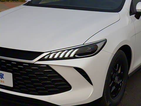 2025�� DM-i �Ǽݰ� 55KM������