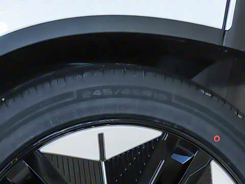 2025�� ���羭���