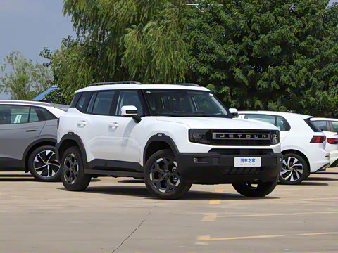 2025�� 2.0TD XWD��Խ