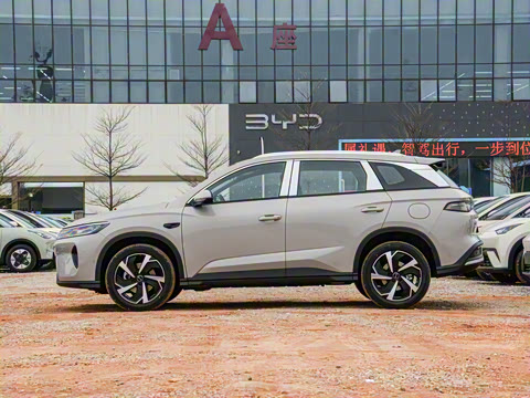 2025�� DM-i �Ǽݰ� 115KM�콢��