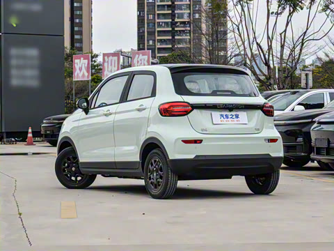 2025�� 310������