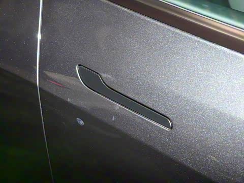 2025�� ����������