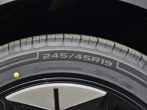 2025�� �����˶���