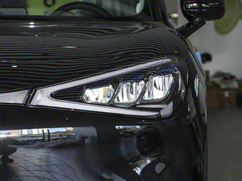 2026�� �鶯������