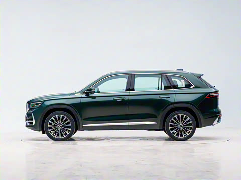 2025�� ������ 2.0TD �Զ��񳯰�