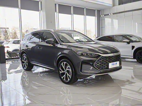 2025�� DM-i 115KM �콢��