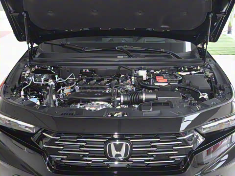 2025�� �˶�ϵ�� 260TURBO ������